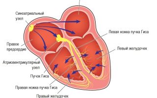 Низкий пульс и высокое давление