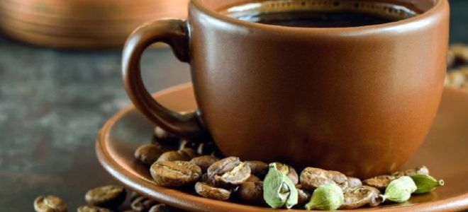 Польза и вред кофе с кардамоном для организма