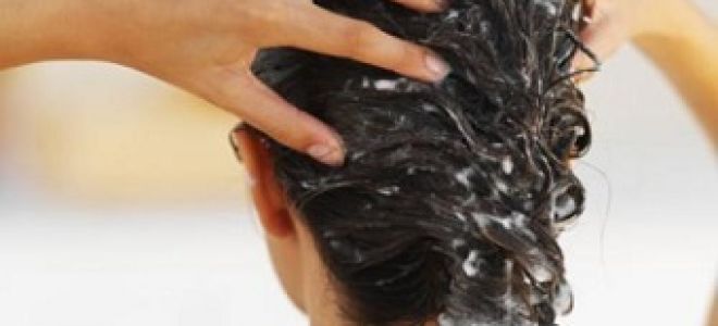 Полезные свойства и вред мумие