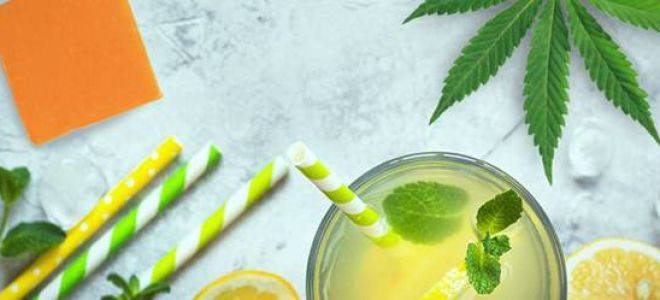 Цедра апельсина: польза и вред