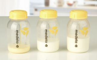 Грудное молоко строит бактерии