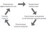 Киви признан идеальным продуктом для улучшения настроения и повышения уровня энергии