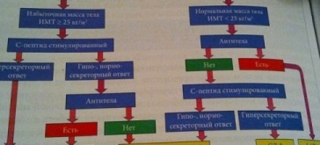 Долгий путь к диабету