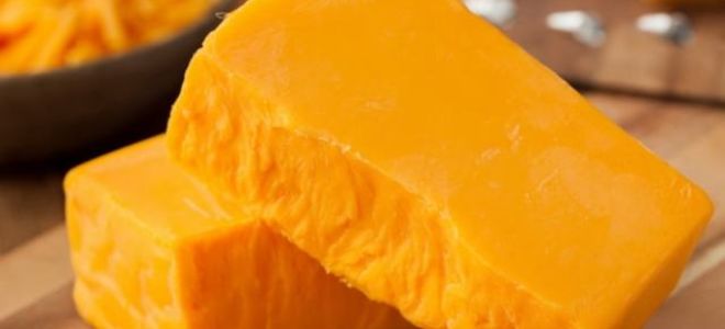 Сыр чечил: чем полезен и чем вреден