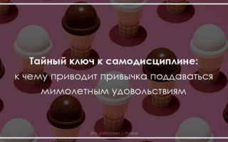 За каждый лишний кусочек торта теперь можно винить нейроны