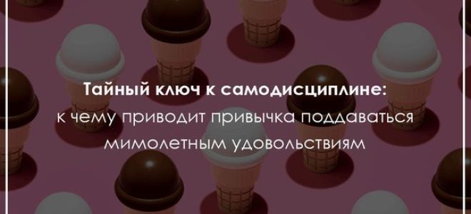 За каждый лишний кусочек торта теперь можно винить нейроны