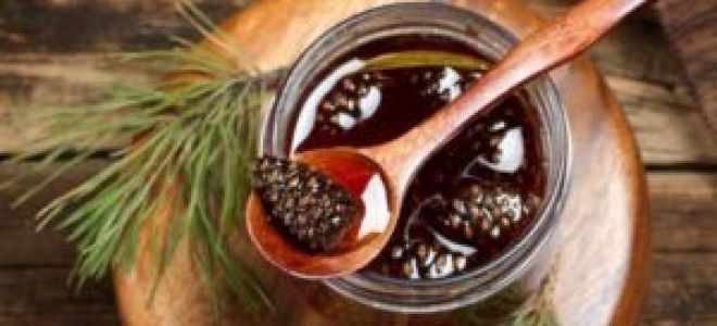 Варенье из лепестков роз: полезные свойства и вред