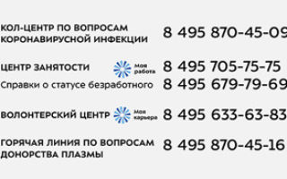 Как пережить марафон. Часть вторая: гипогликемия, травмы и подготовка