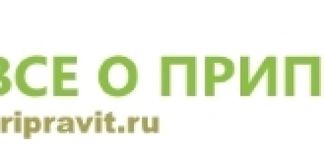 Горчица — польза и вред для организма