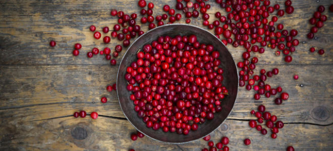 Какая ягода полезнее черника или брусника?