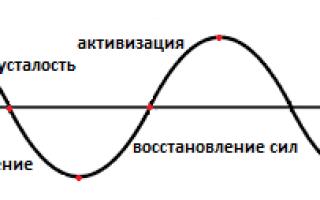 Заслуженный отдых должен быть активным