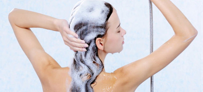 Семечки дыни — полезные свойства и вред