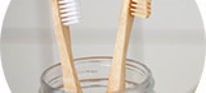 Ученые доказали, что салон автомобиля лидирует по количеству бактерий