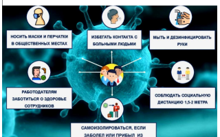 Собачники оказались подвержены высокому риску заражения SARS-Cov-2