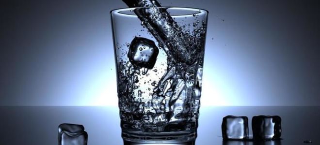 Здоровая жизнь любителя прекрасного