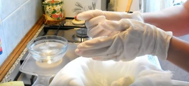 Сыр моцарелла: полезные свойства и вред