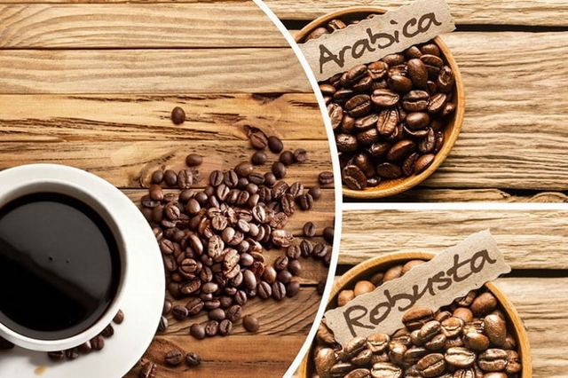 Какой сорт кофе полезнее арабика или робуста?