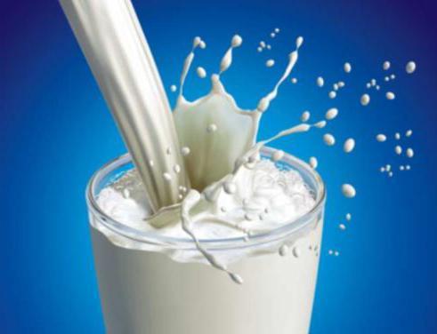 Молоко или творог — что более полезно?