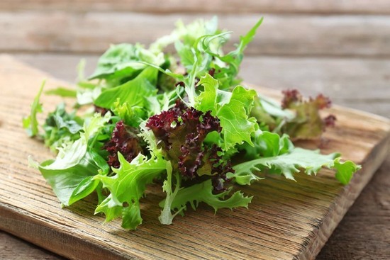 Листья салата: польза и вред для здоровья