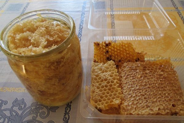 Мед — польза и вред для здоровья