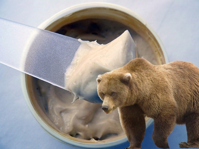 Медвежий жир: польза и возможный вред