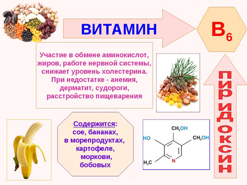 Витамин b6: полезные свойства и вред