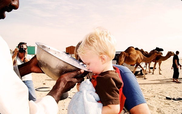 Верблюжье молоко — польза и вред