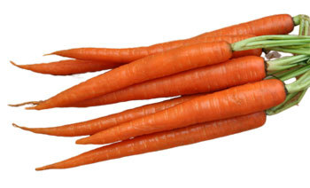 Морковь — польза и вред для организма