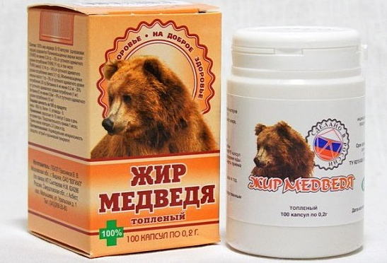 Медвежий жир: польза и возможный вред