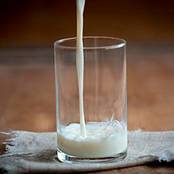 Овечье молоко: полезные свойства и вред