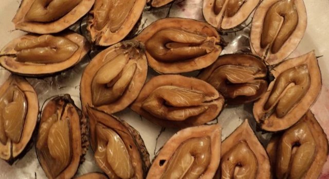 Маньчжурский орех — полезные свойства и вред