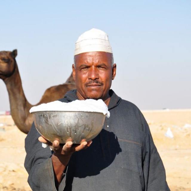 Верблюжье молоко — польза и вред