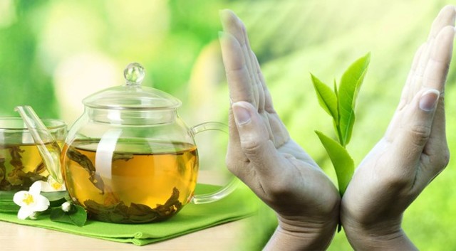 Зеленый чай — польза и вред для организма