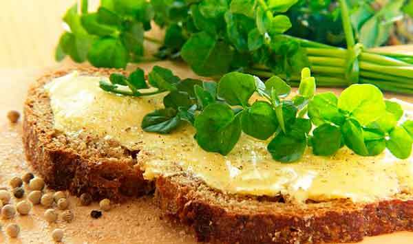 Кресс-салат: польза и вред для здоровья