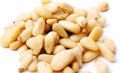 Кедровые орехи — польза и вред для организма