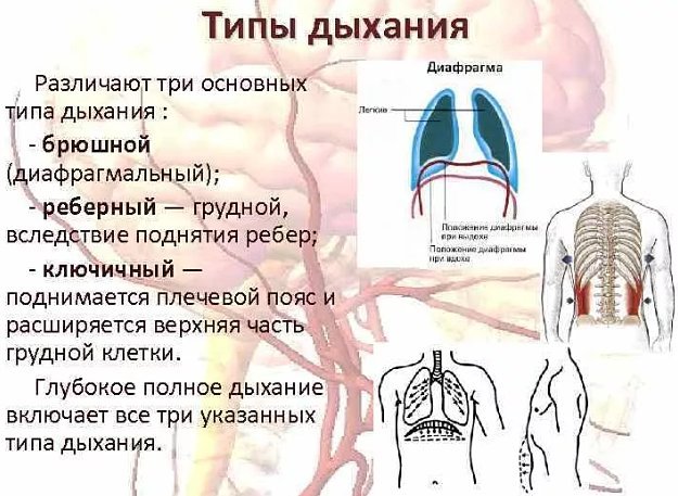 Диафрагмальное дыхание: полезные свойства и вред