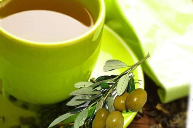 Оливки: польза и возможный вред для организма