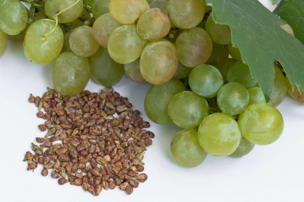 Виноград: полезные свойства и вред для организма