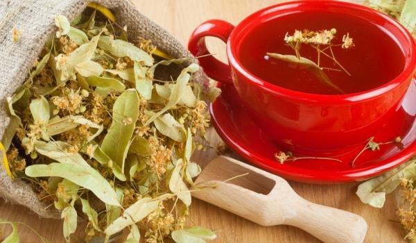 Липовый чай: польза и вред для организма