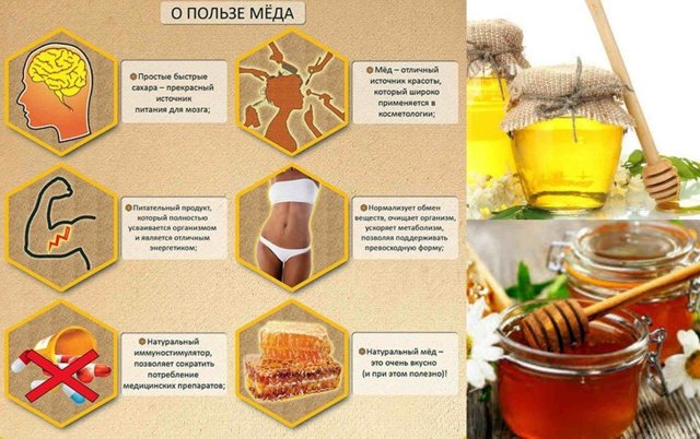 Мед с чесноком — польза и вред