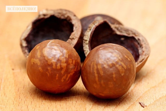 Орех макадамия — польза и вред для организма
