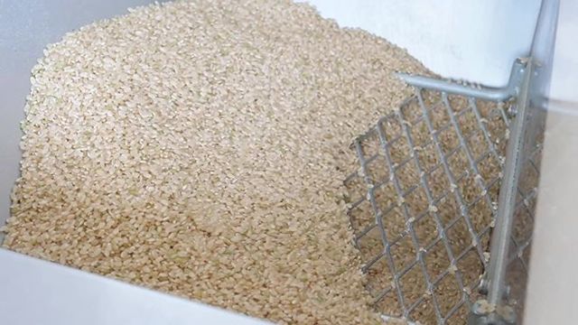 Воздушный рис: чем вреден и полезен