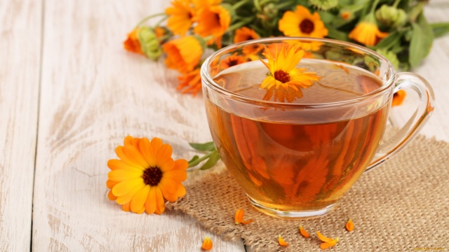 Гречишный чай — польза и вред