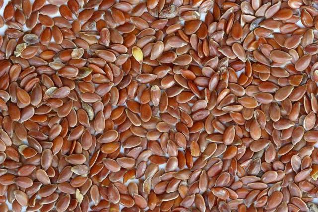 Какие семена льна полезнее коричневые или белые