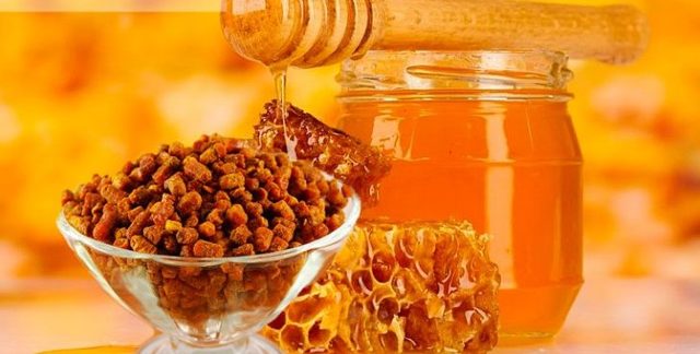 Мед или перга — что более полезно?