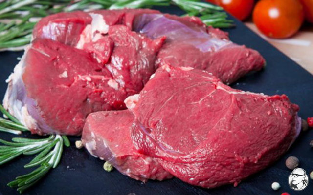 Мясо бобра: польза и вред для человека