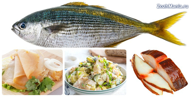 Масляная рыба: польза и возможный вред