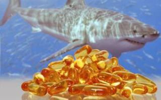 Акулий жир — полезные свойства и вред