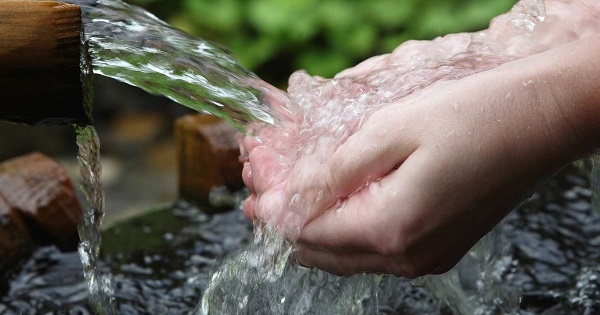 Какая вода более полезна кипяченая или сырая?