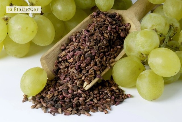 Виноградные косточки — польза и вред для здоровья